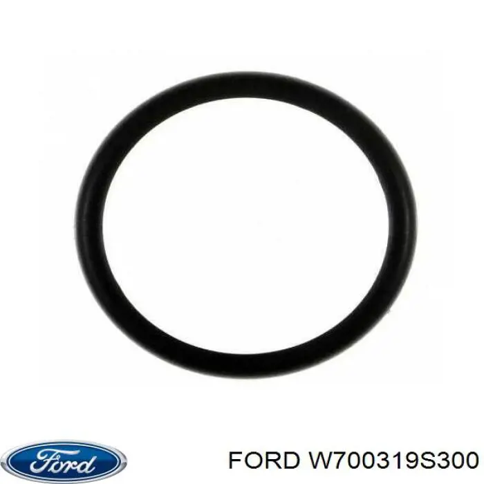 Прокладка термостата W700319S300 Ford
