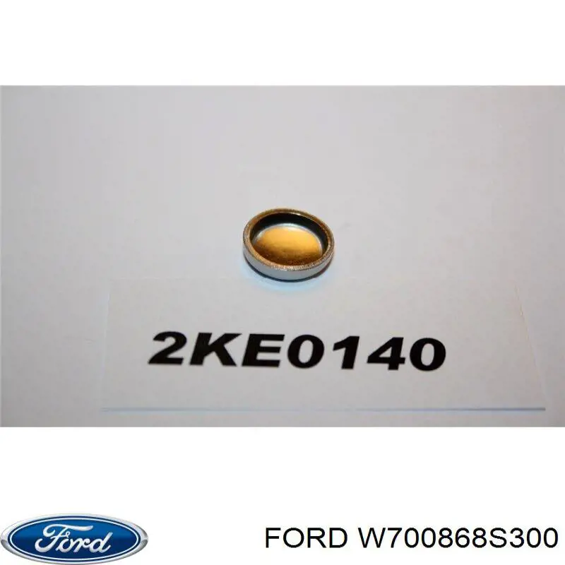 W700868S300 Ford 