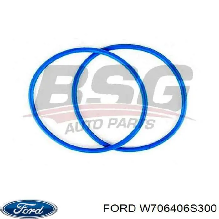 Вискомуфта вентилятора W706406S300 Ford