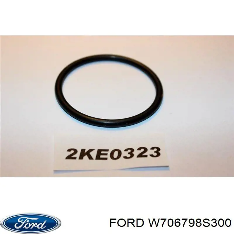  W706798S300 Ford