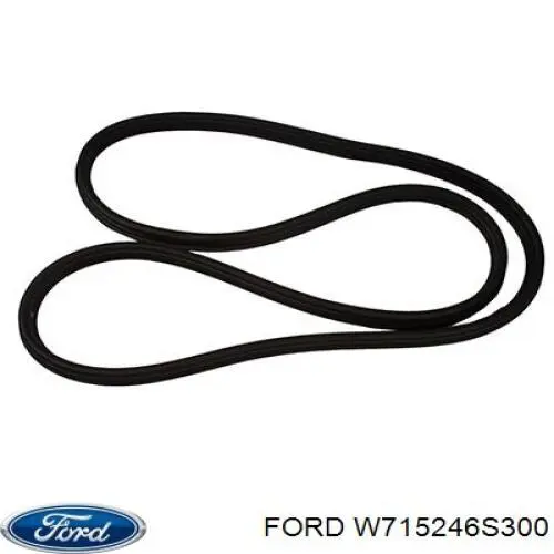  Ford W715246S300 цена, от 4.54 USD