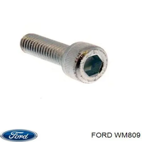 Купить WM809 Ford Мотор стеклоочестителя