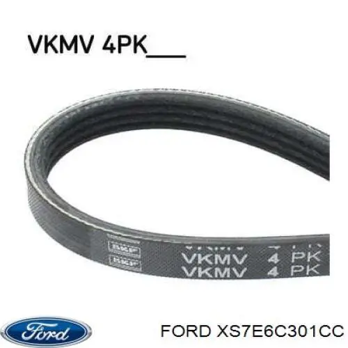 Купить XS7E6C301CC Ford Ремень генератора