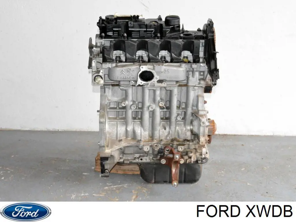 Двигатель в сборе Ford XWDB