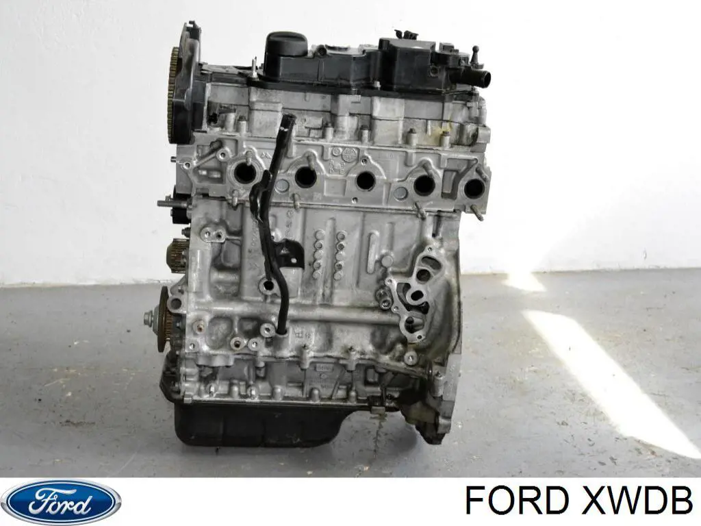 XWDB Ford Мотор в сборе