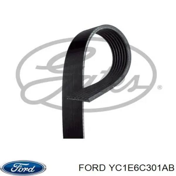 Ремень генератора YC1E6C301AB Ford