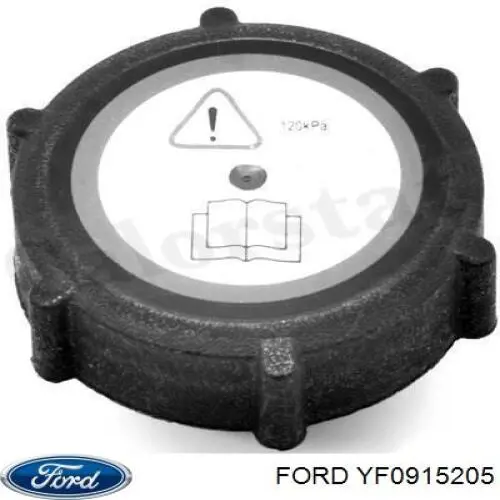  YF0915205 Ford