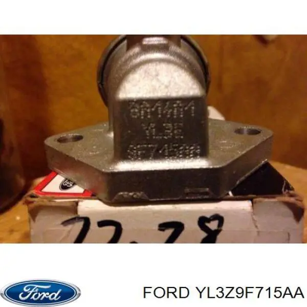 CX1867 Ford valve asy throttle air by-pa