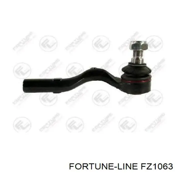 FZ1063 Fortune Line