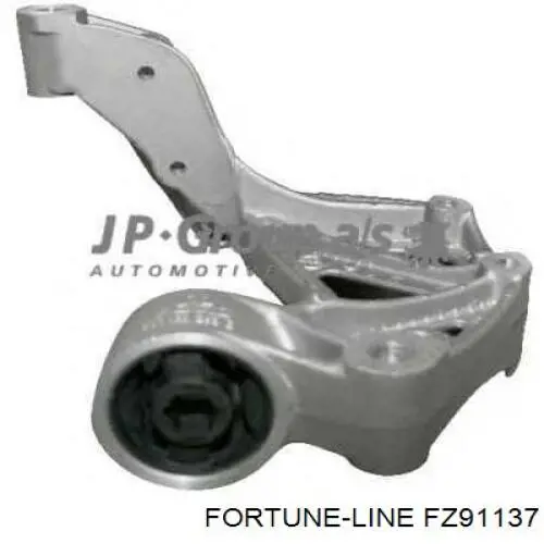 FZ91137 Fortune Line 