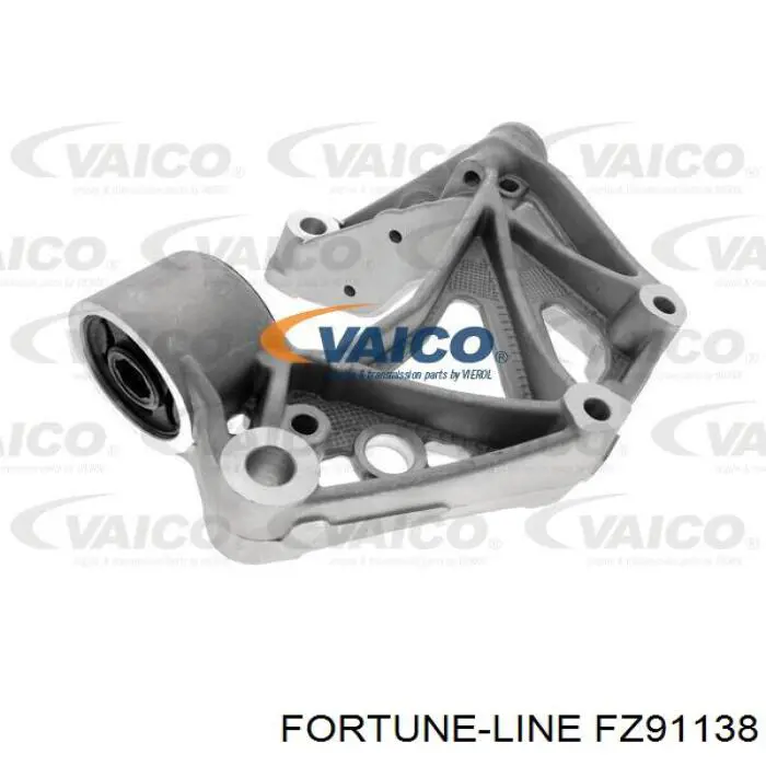 FZ91138 Fortune Line 
