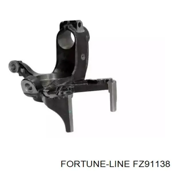 Купить FZ91138 Fortune Line 