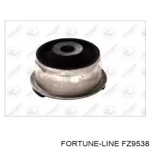 FZ9538 Fortune Line