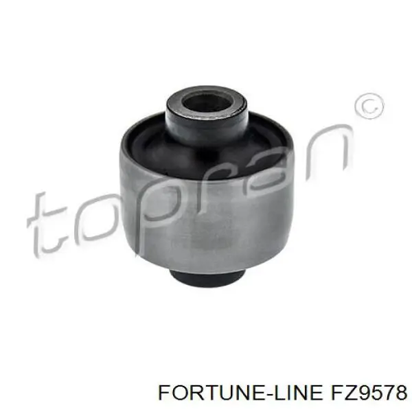 FZ9578 Fortune Line