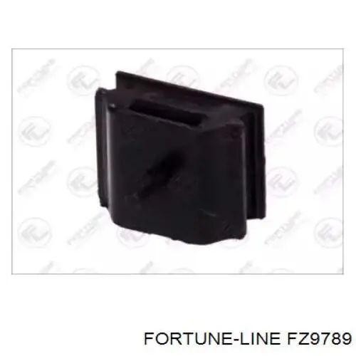 FZ9789 Fortune Line