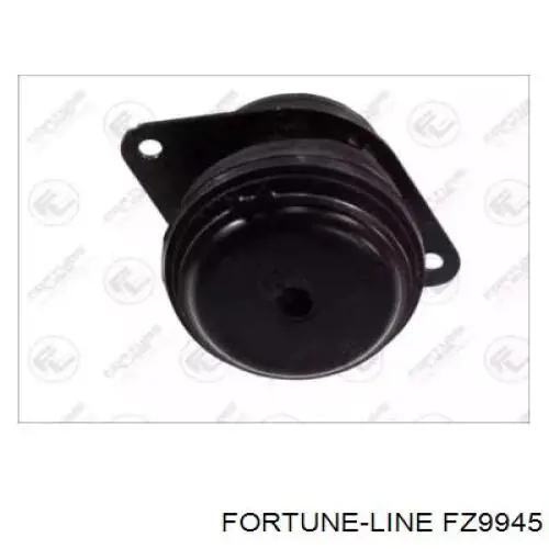 FZ9945 Fortune Line