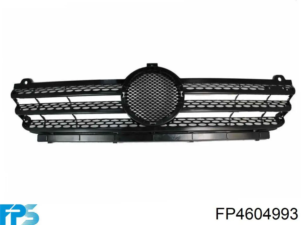 FP4604993 FPS placa sobreposta (carcaça de grelha do radiador)