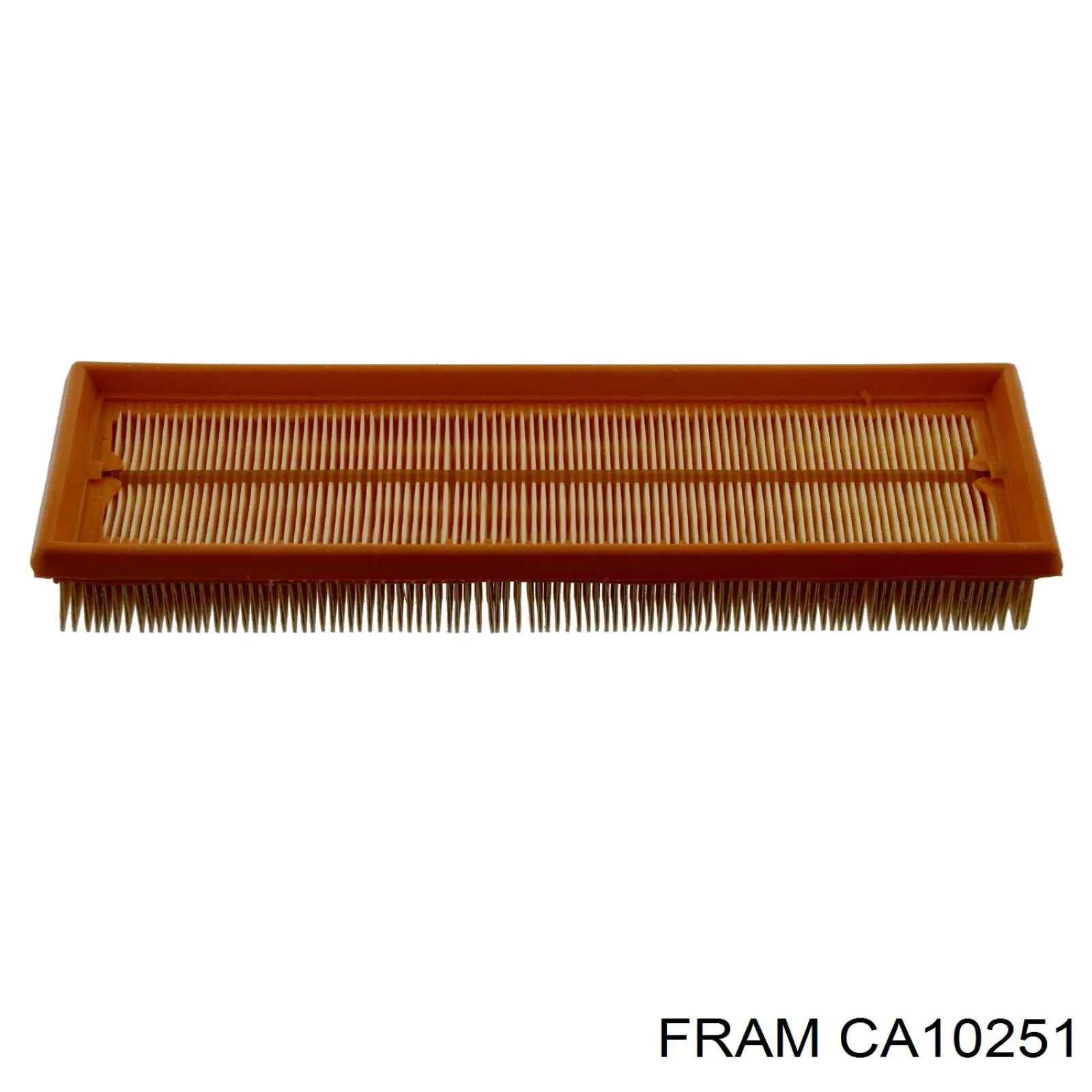 Воздушный фильтр CA10251 Fram