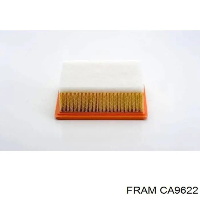Воздушный фильтр CA9622 Fram