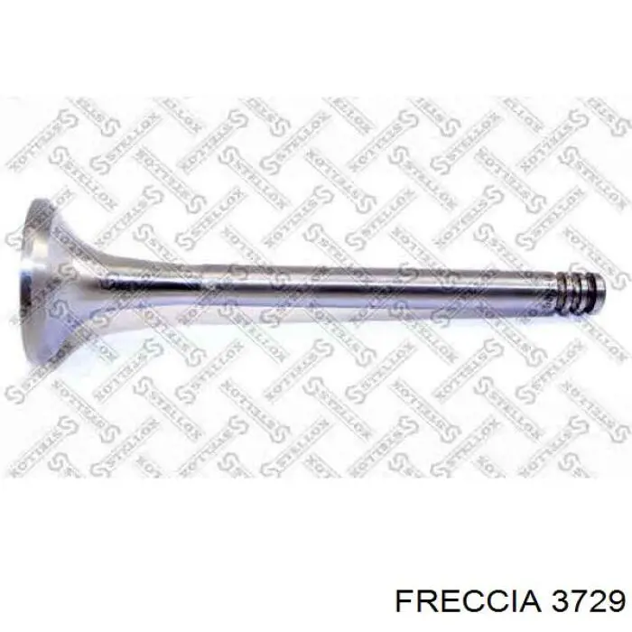 3729EX Freccia клапан выпускной