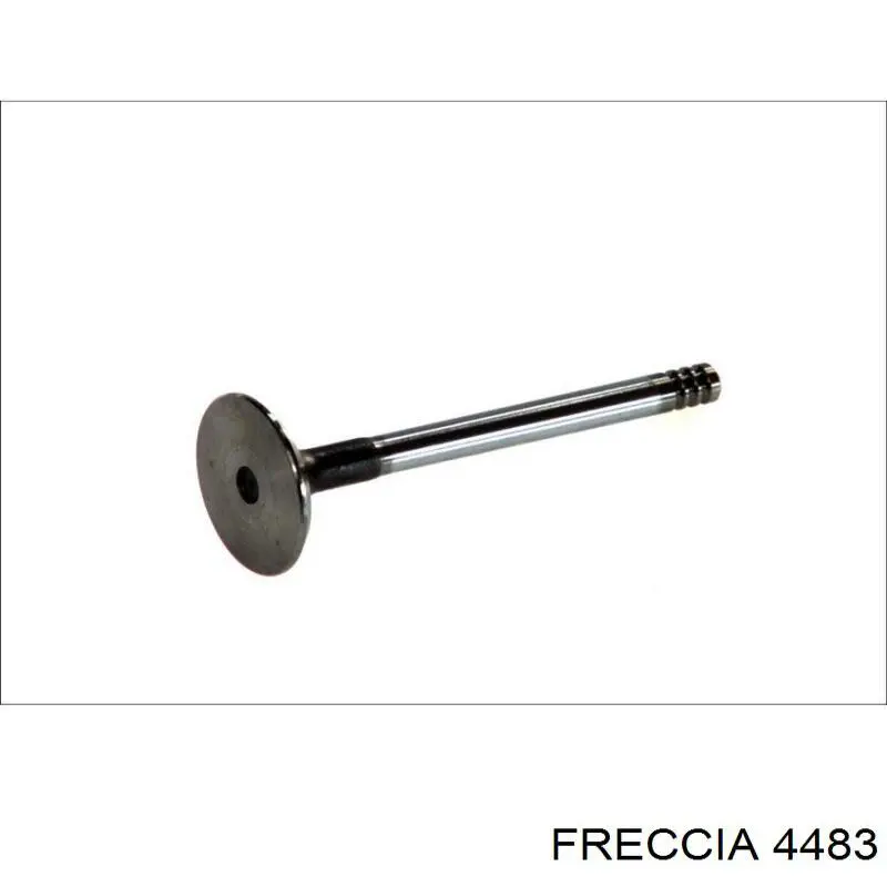 6036S Freccia клапан впускной