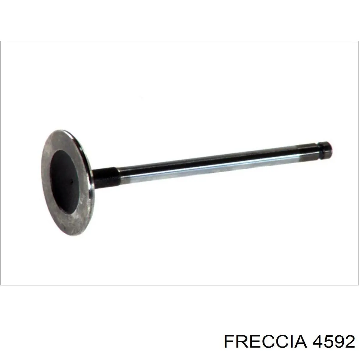 4592 Freccia