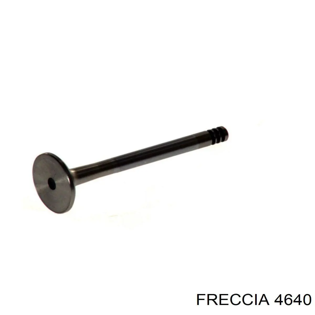 4640 Freccia