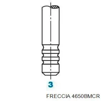Купить 4650BMCR Freccia Выпускной клапан
