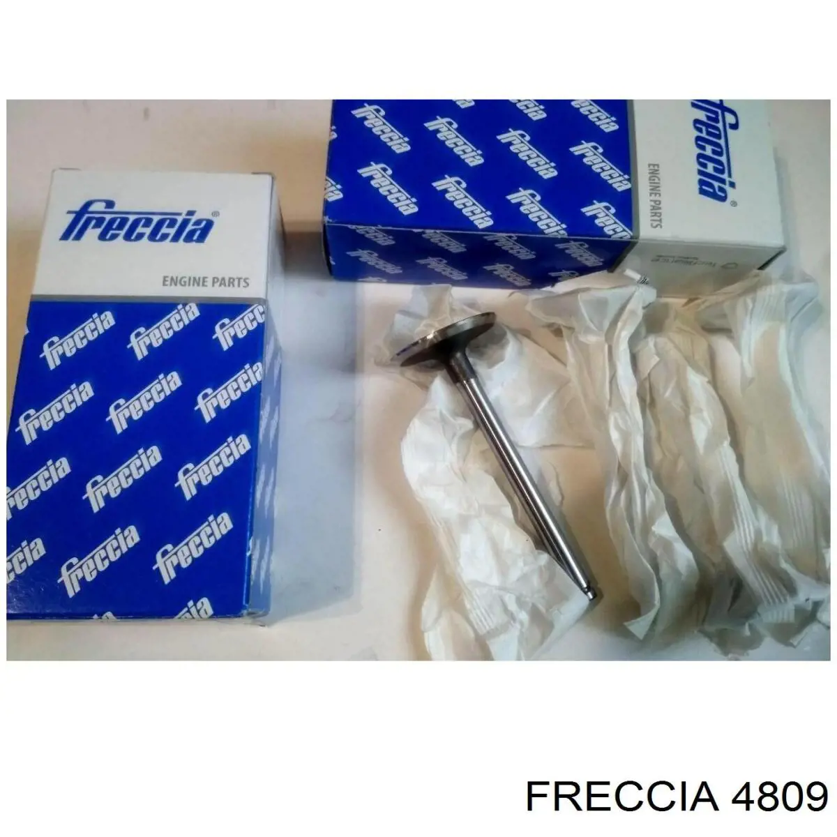 FR 4809 Freccia клапан выпускной