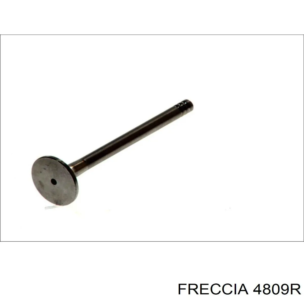 4809R Freccia Выхлопной клапан