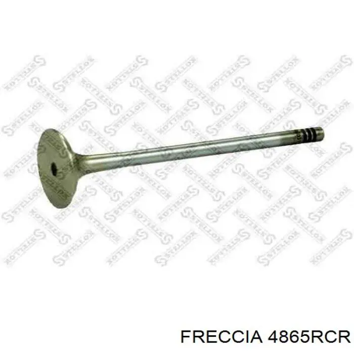 4865RCR Freccia клапан выпускной