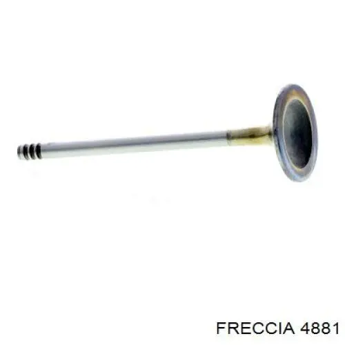 4881S Freccia клапан впускной