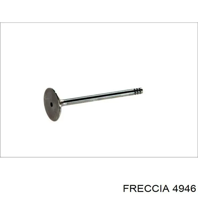 FR 4946 Freccia клапан впускной