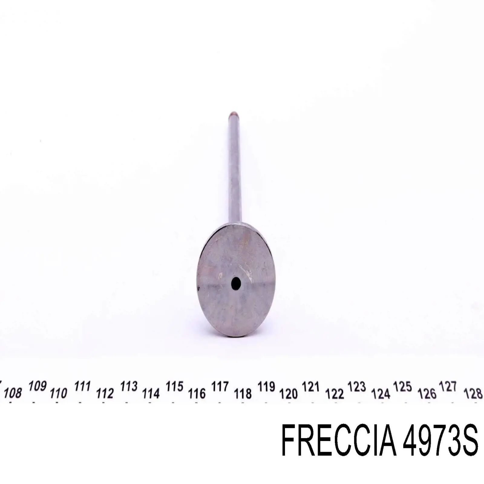 4973S Freccia Впускной клапан