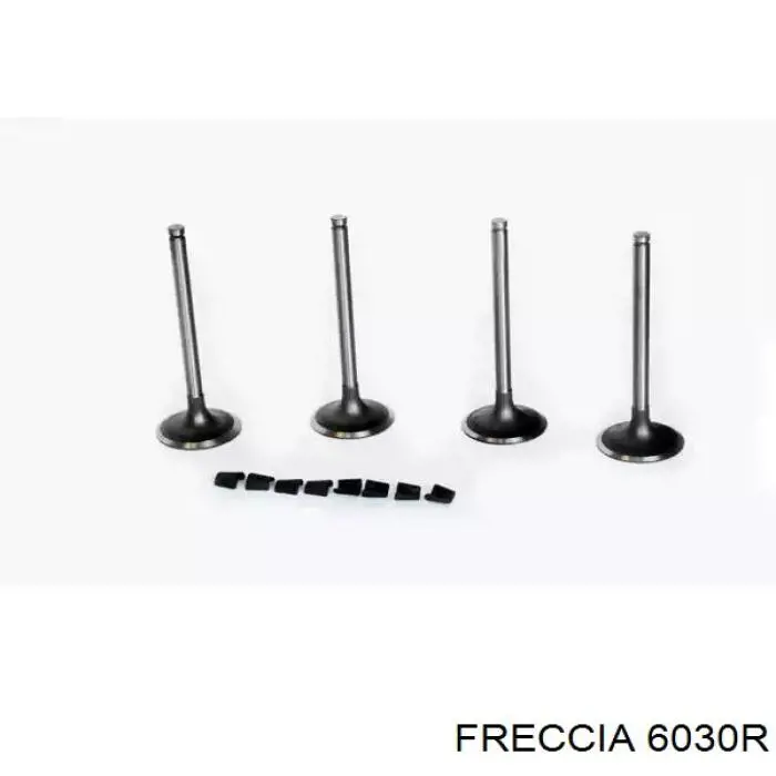 6030R Freccia клапан выпускной
