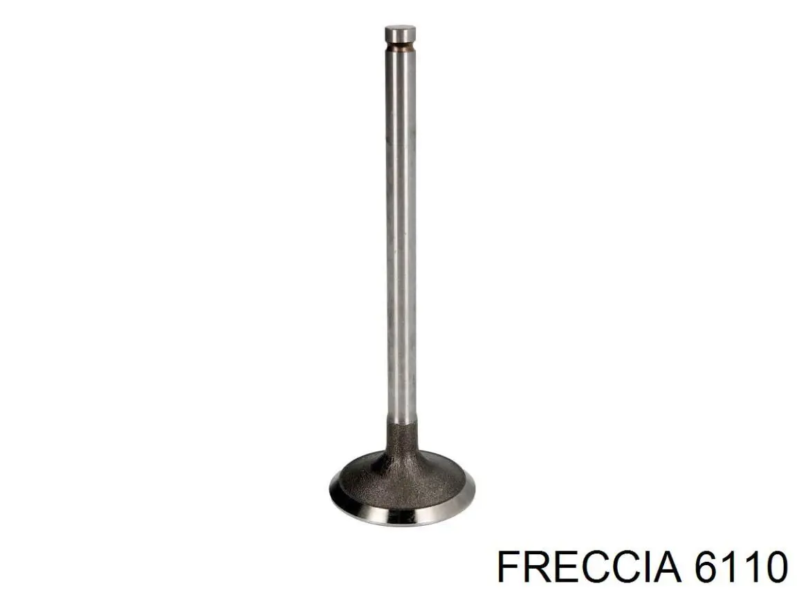 6110 Freccia клапан впускной