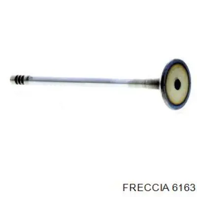 6163 Freccia клапан впускной