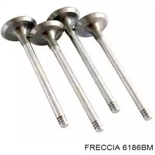 Выпускной клапан 6186 Freccia