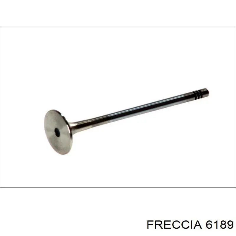 6189 Freccia клапан выпускной