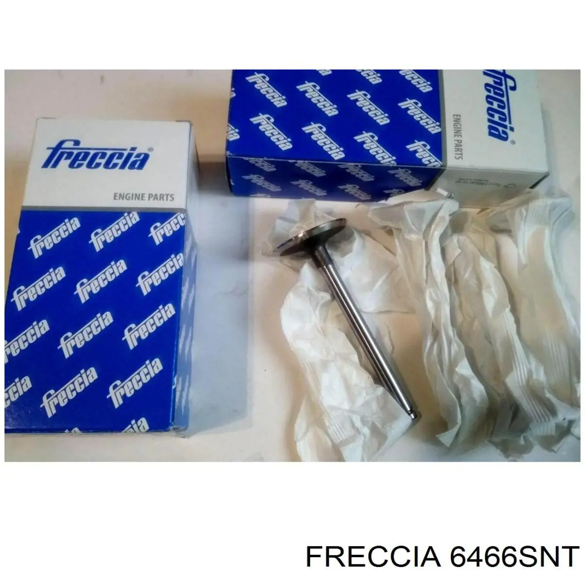 6466SNT Freccia 