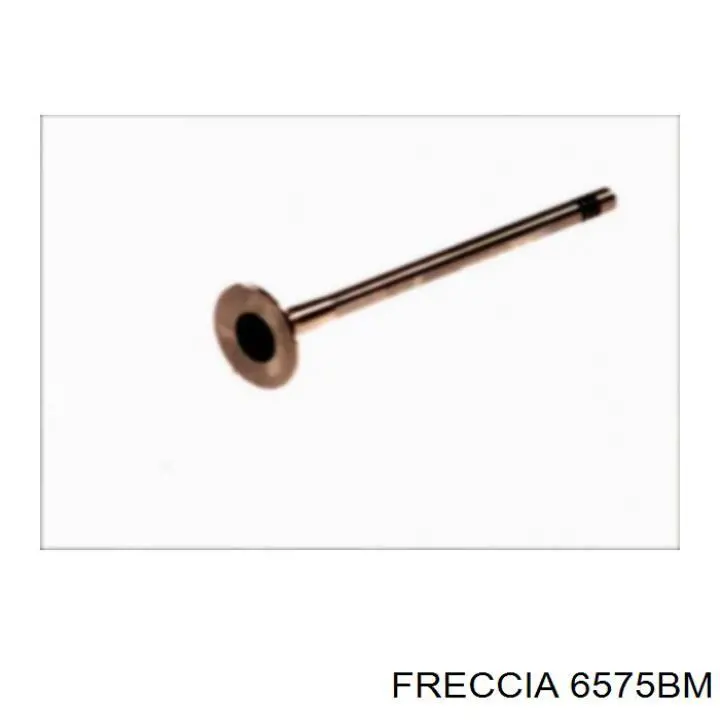 6575 Freccia клапан выпускной