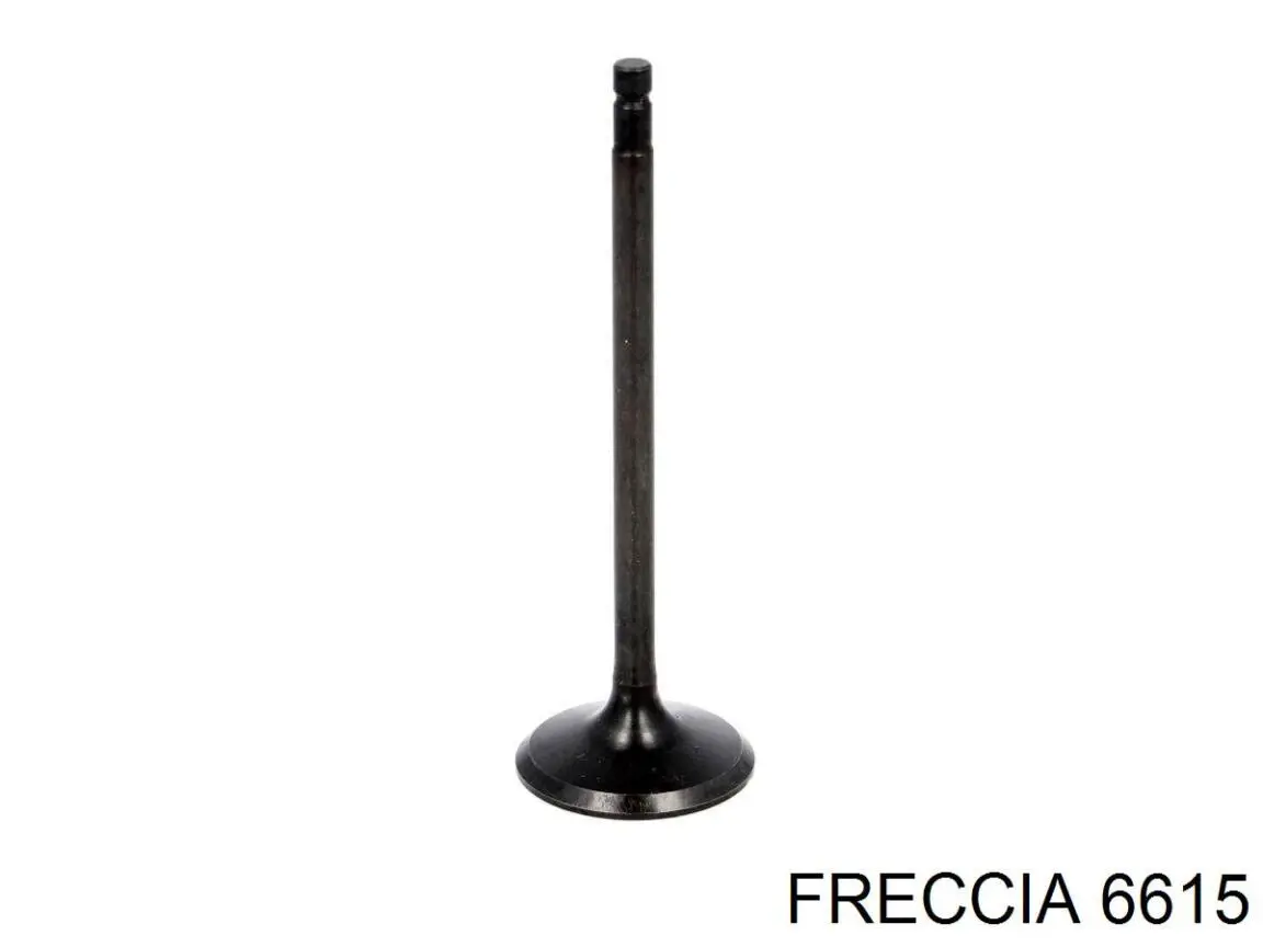Впускной клапан 6615 Freccia