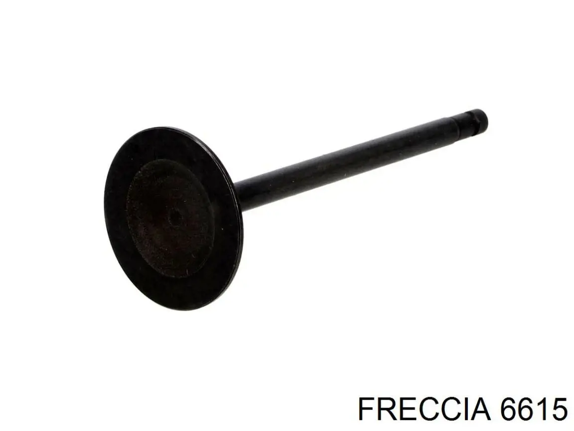 6615 Freccia Впускной клапан