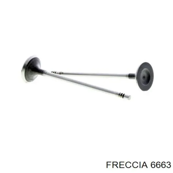 6663 Freccia впускной клапан