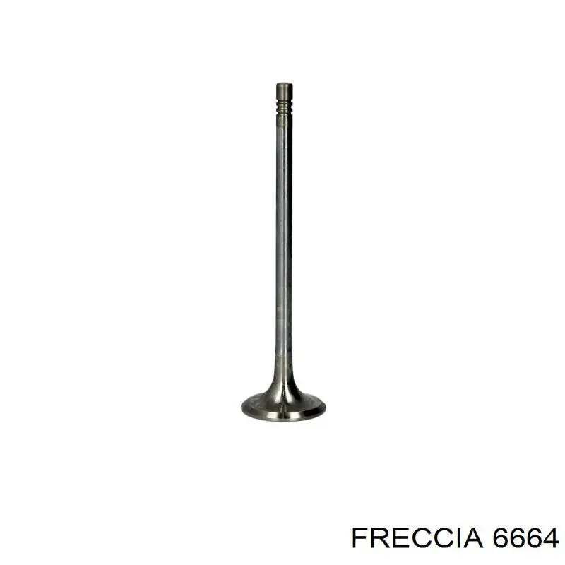 6664 Freccia клапан выпускной