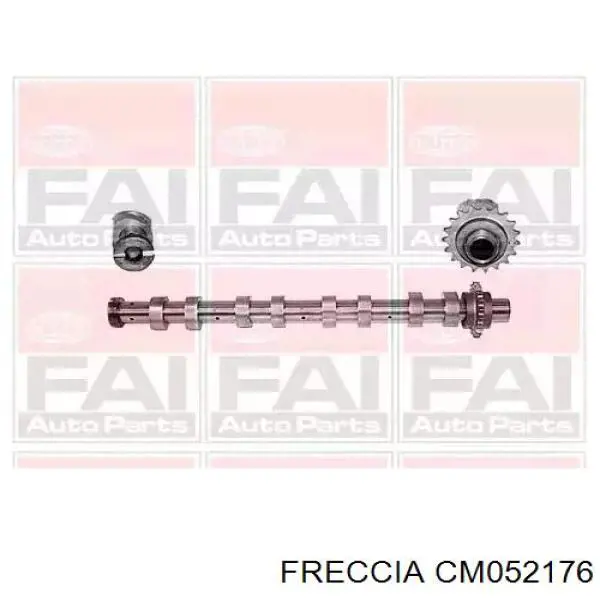 CM052176 Freccia