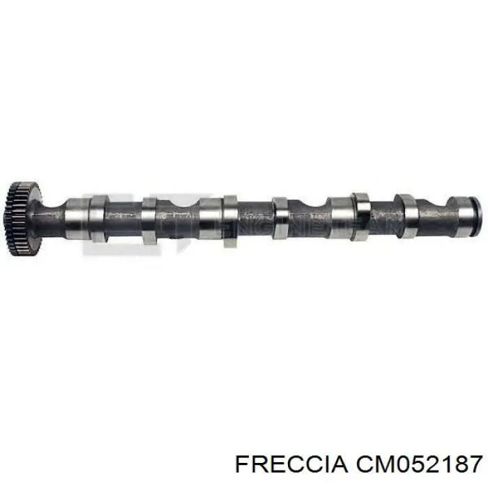CM052187 Freccia