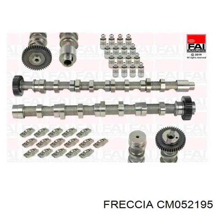 Распредвал двигателя впускной Freccia CM052195 цена, от 147.40 USD