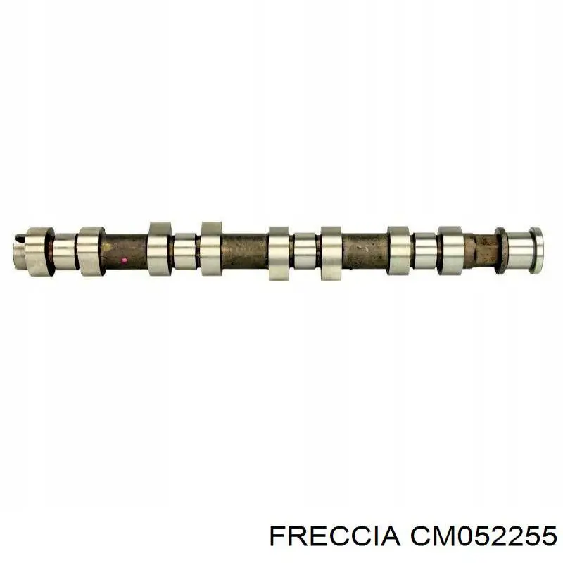 CM052255 Freccia