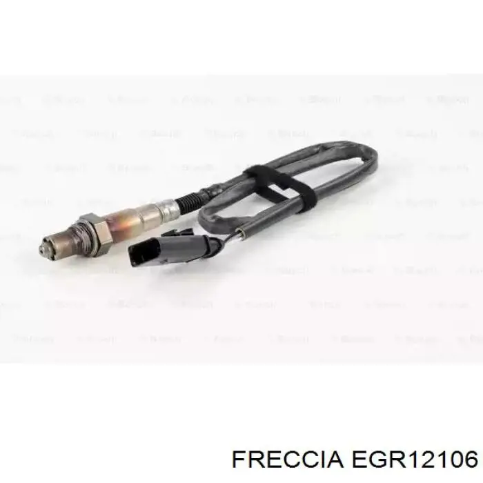 Клапан EGR, рециркуляції газів EGR12106 Freccia